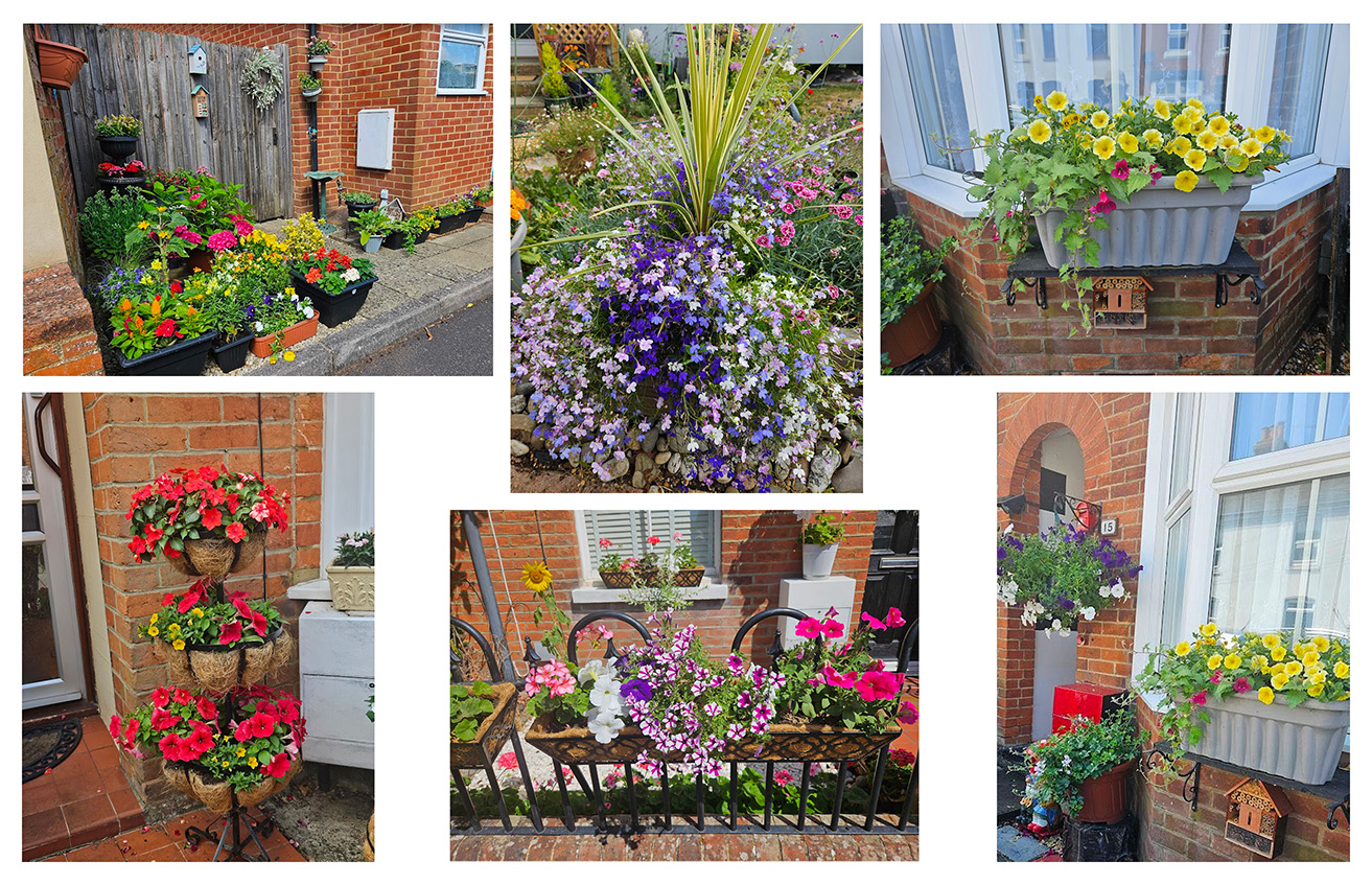 Brookvale in Bloom 2025